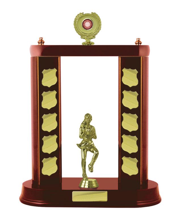 2 Post Netball Perpetual with 25mm Centre