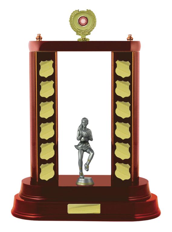 2 Post Netball Perpetual with 25mm Centre