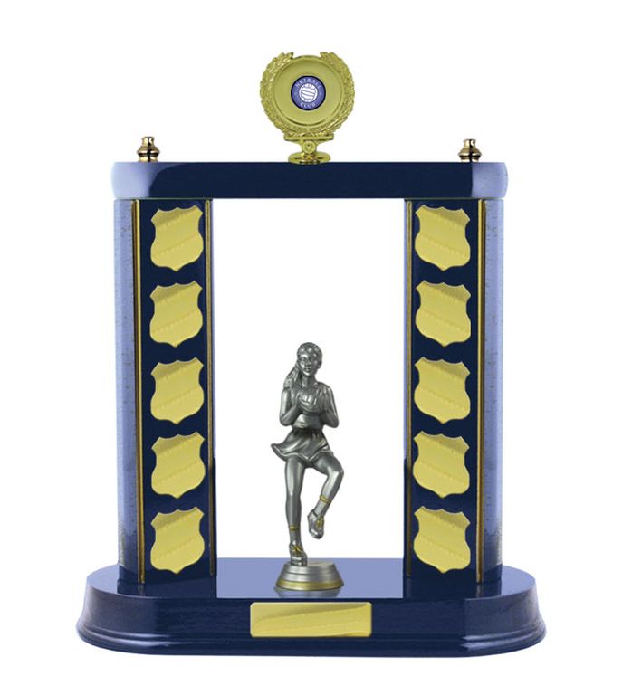 2 Post Netball Perpetual with 25mm Centre