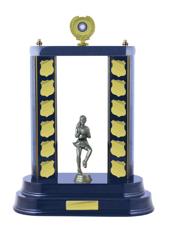 2 Post Netball Perpetual with 25mm Centre