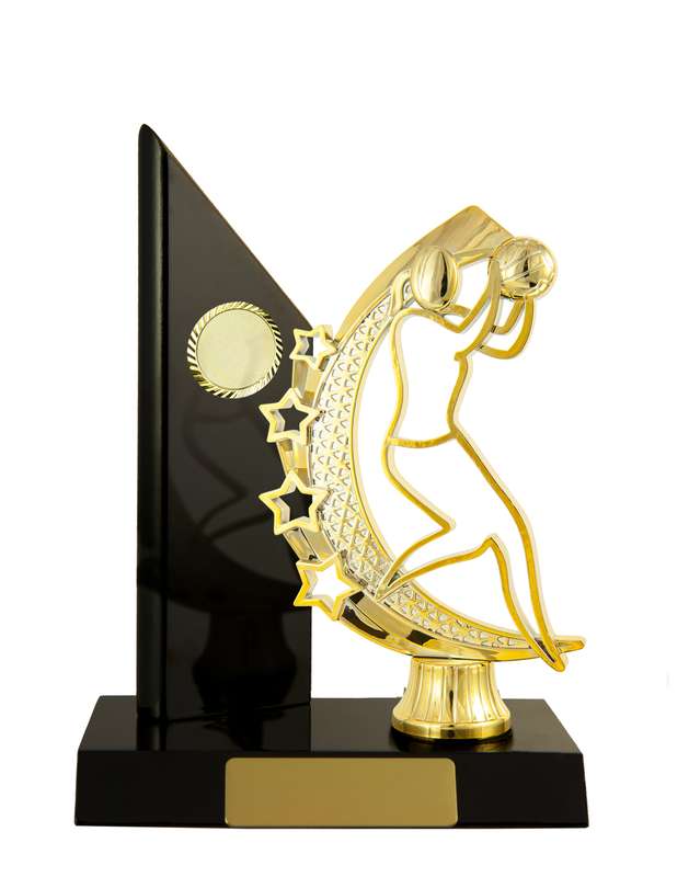 Timber Buildup Netball