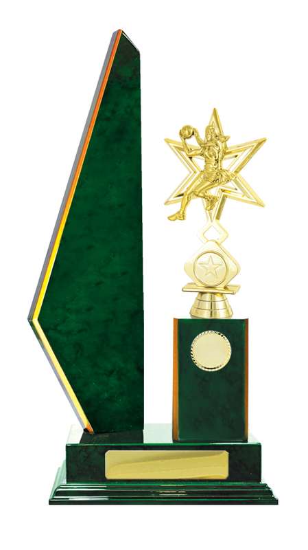 Timber Buildup Netball