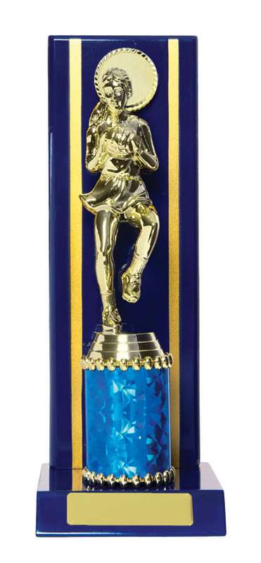 Timber Buildup Netball