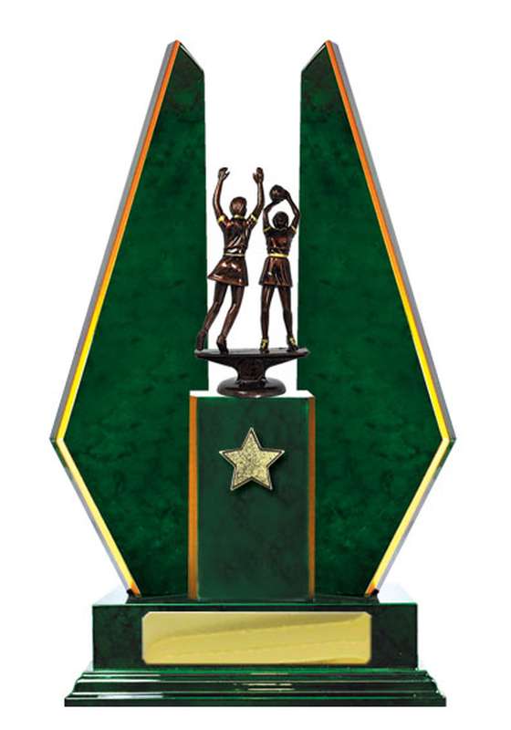 Timber Buildup Netball