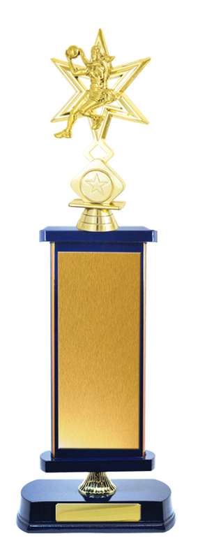 Timber Buildup Netball