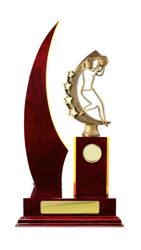 Timber Buildup Netball