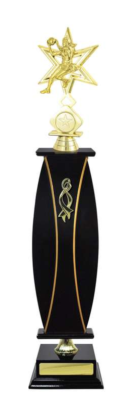 Timber Buildup Netball