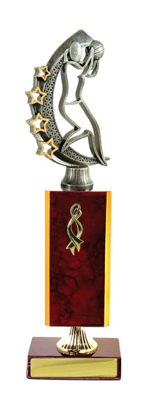 Timber Buildup Netball