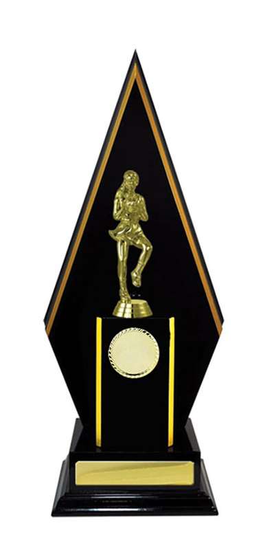 Timber Buildup Netball