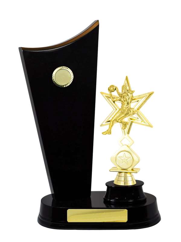 Timber Buildup Netball