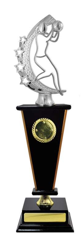 Timber Buildup Netball