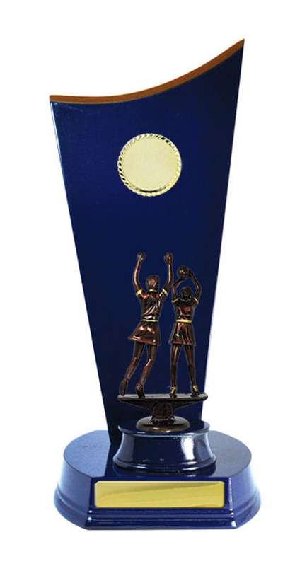 Timber Buildup Netball