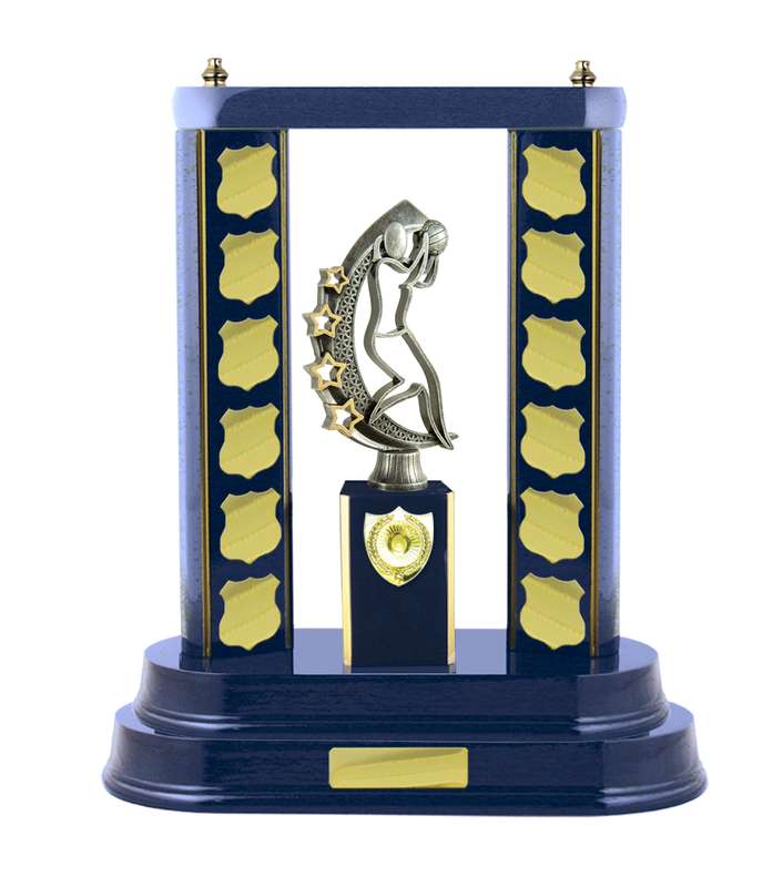 Timber Buildup Netball