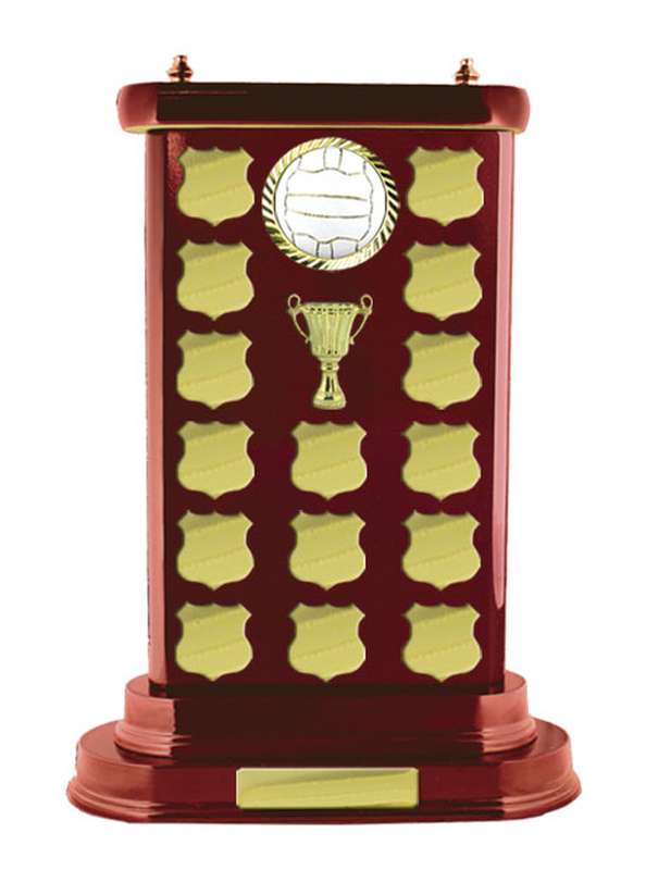 Timber Buildup Netball