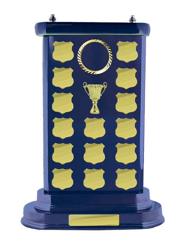 Timber Buildup Netball