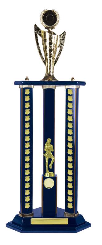 Timber Buildup Netball