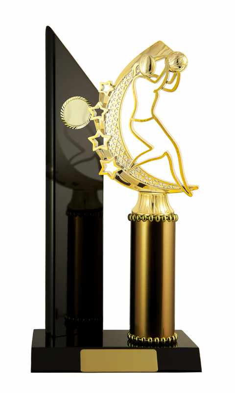 Timber Buildup Netball