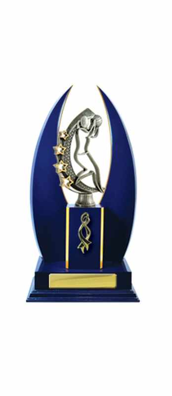 Timber Buildup Netball