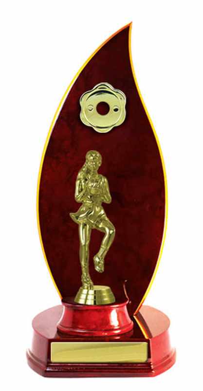 Timber Buildup Netball