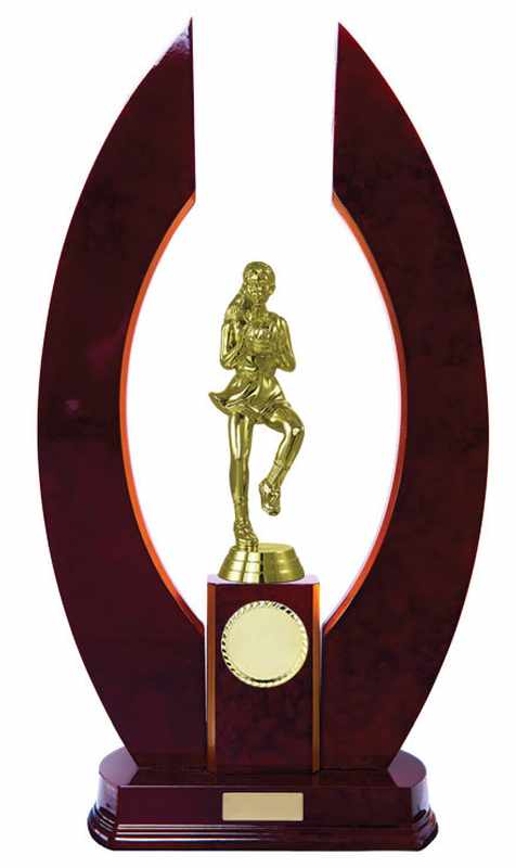 Timber Buildup Netball