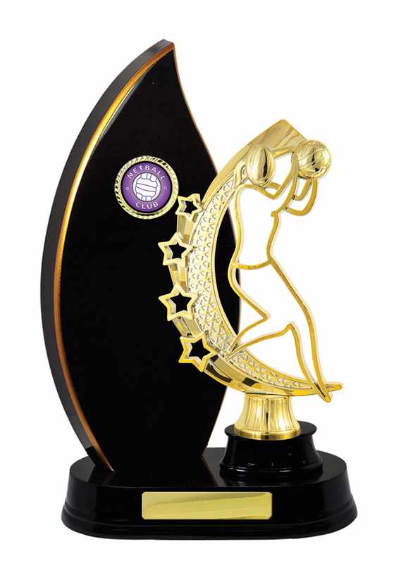 Timber Buildup Netball