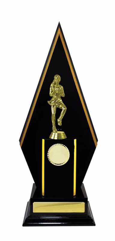 Timber Buildup Netball