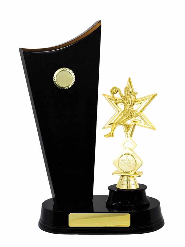 Timber Buildup Netball