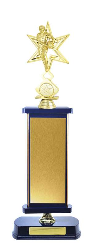 Timber Buildup Rugby