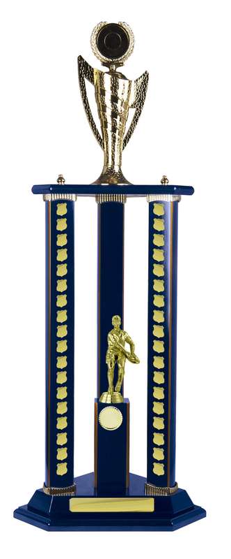 Timber Buildup Rugby