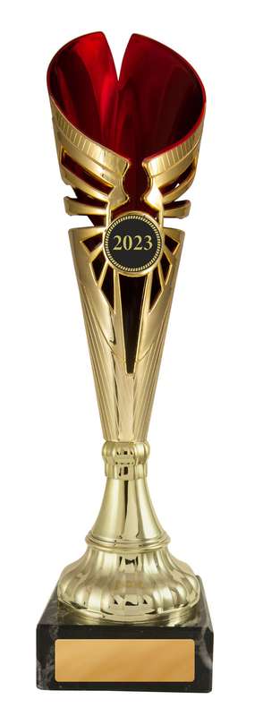 Angelico Cup
