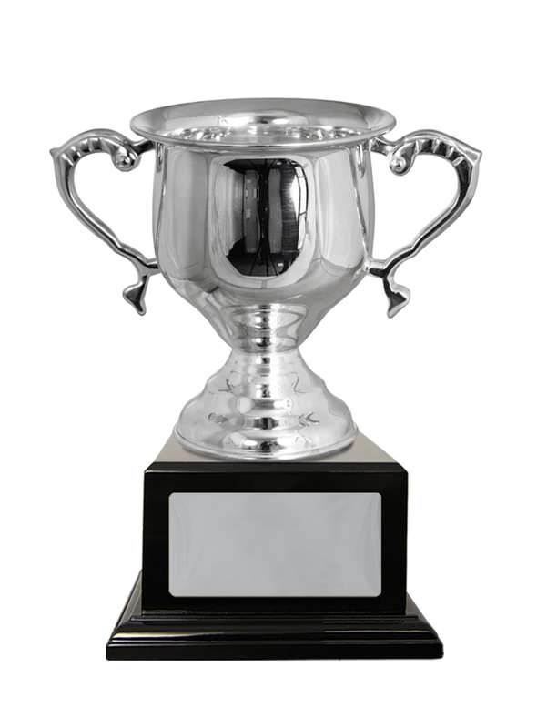 Silver Plated Cup