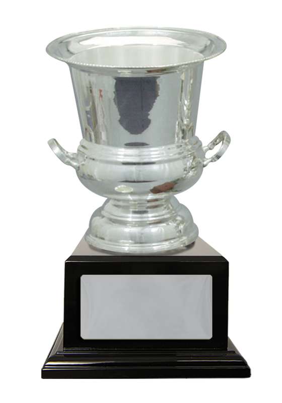 Silver Plated Cup