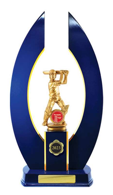 Timber Buildup Cricket Male