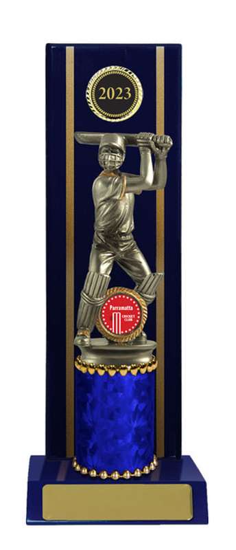 Timber Buildup Cricket Male