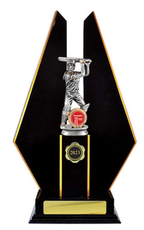 Timber Buildup Cricket Female