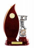 Timber Buildup Cricket