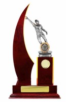 Timber Buildup Cricket Female