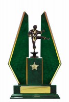 Timber Buildup Martial Arts