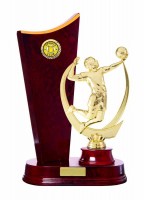 Timber Buildup Volleyball