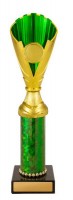 Norwood Cup