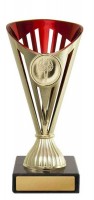 Fan Cup
