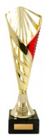 Aerius Cup