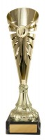Aura Cup