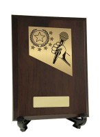 Plaque with Public Speaking Trim