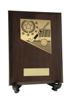 Plaque with Hockey Trim